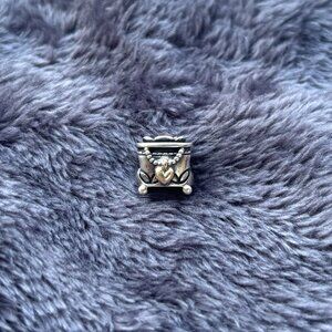 Pandora Charm (My Unforgettable Moment)